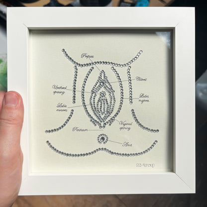 Bedazzled Anatomy with Frame