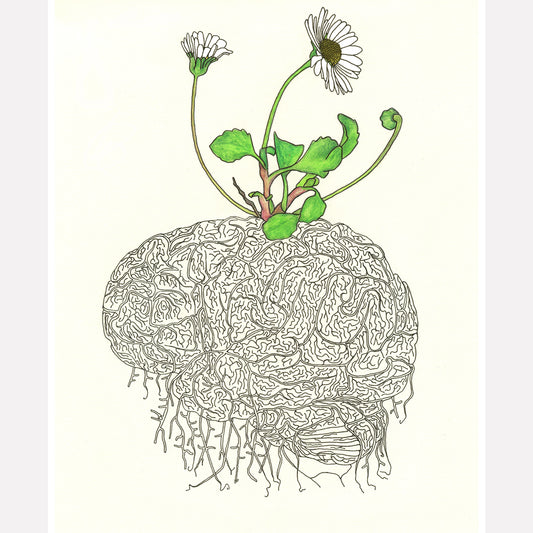 Daisy Brain Art Print