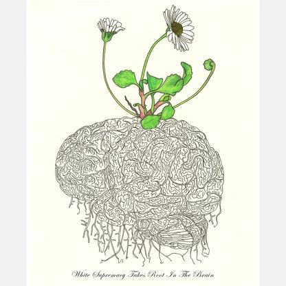 Daisy Brain Art Print
