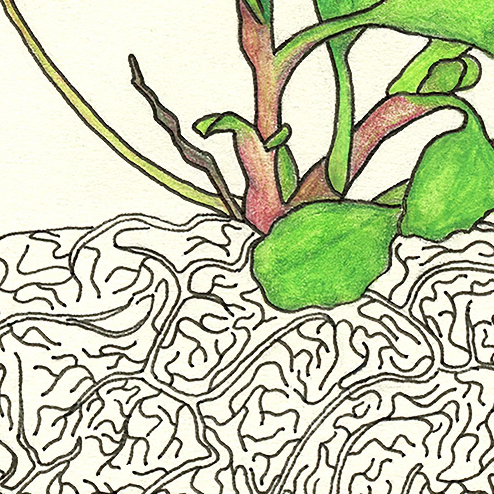 'Brain & Daisies' art print, closeup- Candid Almond